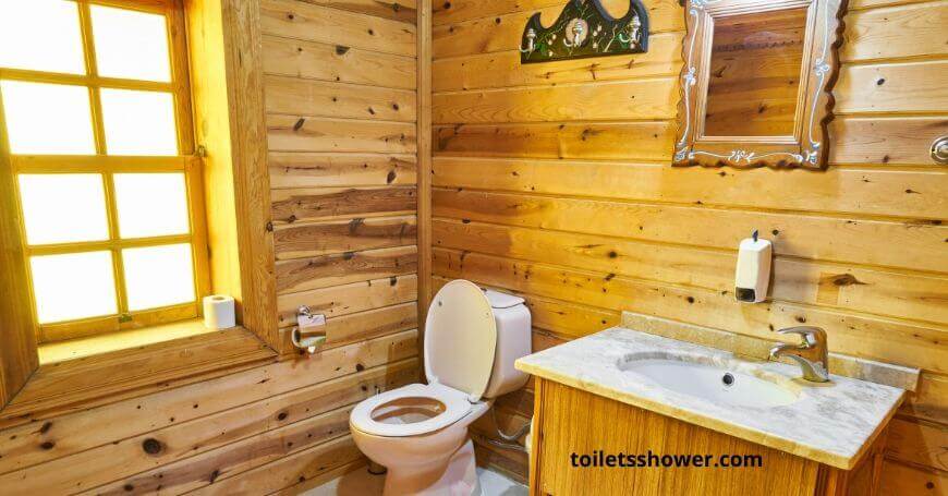 proflo toilet review