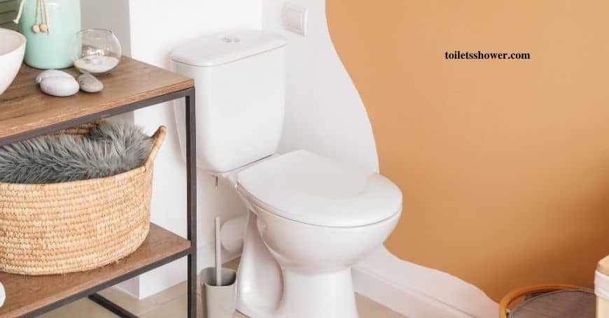 rear outlet toilet