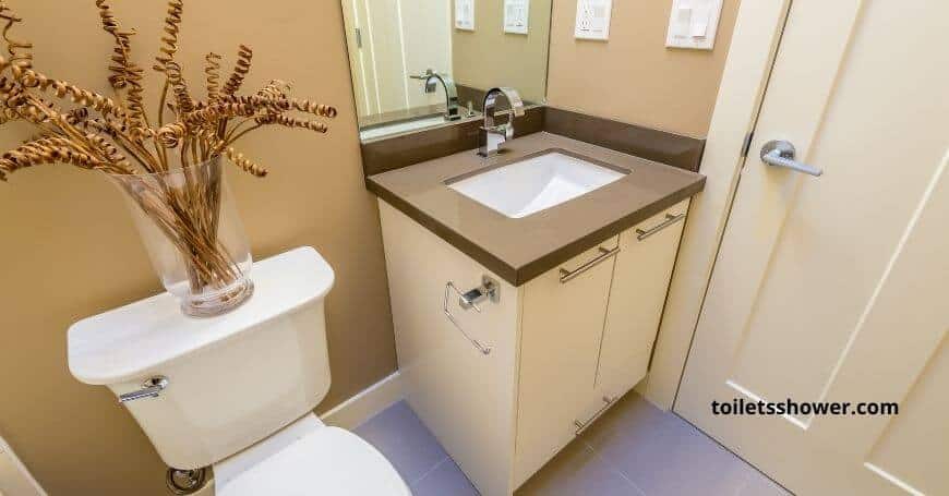 14 inch rough-in toilet