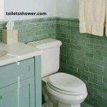 glacier bay toilet reviews