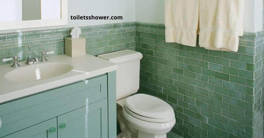 glacier bay toilet reviews