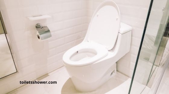 10 Best Dual Flush Toilet 2022 Reviews Rating Guides